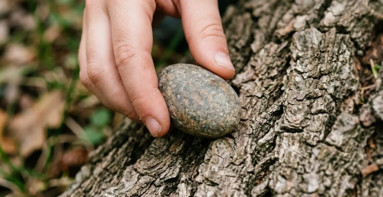 Close-up of child's hands discovering natural textures during park micro-expedition