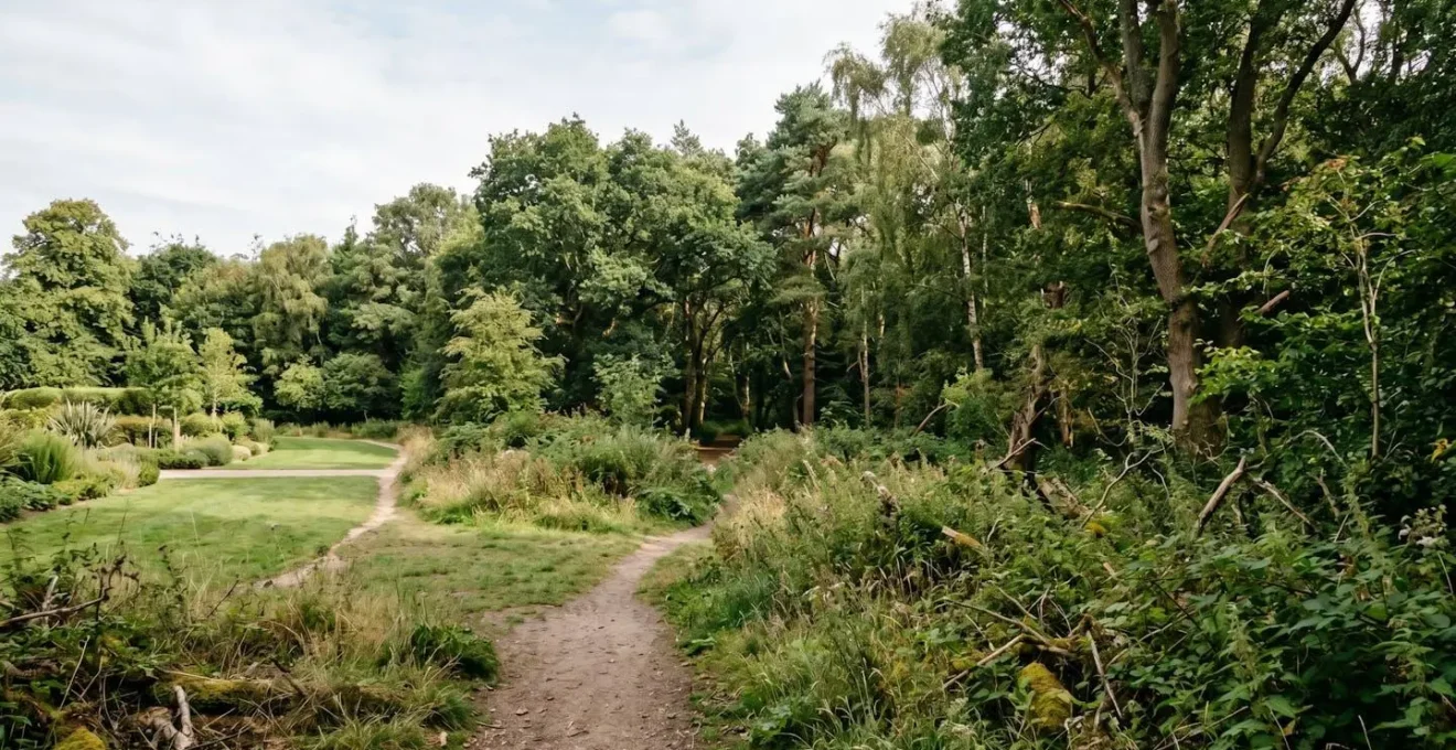 Wide view of an untamed natural area within a park showing diverse textures and biodiversity